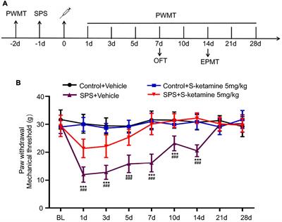 S-Ketamine Pretreatment Alleviates Anxiety-Like Behaviors and Mechanical Allodynia and Blocks the Pro-inflammatory Response in Striatum and Periaqueductal Gray From a Post-traumatic Stress Disorder Model